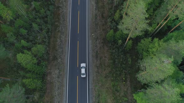 Top Down Road Aerial View with Car