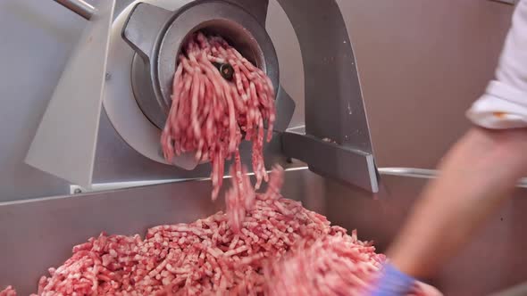 Making Minced Meat in an Electric Meat Grinder From Fresh Beef at the Meat Processing Plant