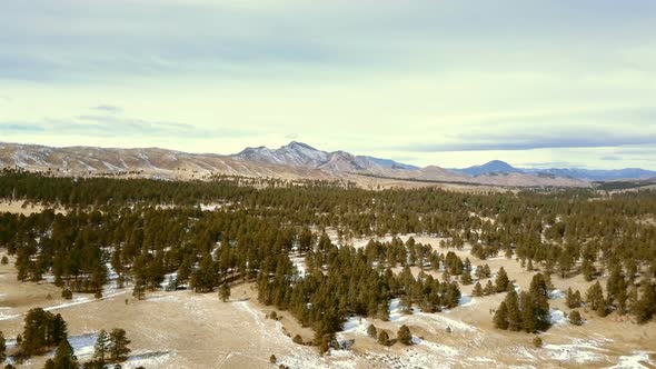 Aerial view of Pikes National Forest in the Winter