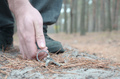 Male hand picking up lost keys from a ground in autumn fir wood path - PhotoDune Item for Sale