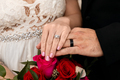 Bride and groom showing wedding rings, just got married - PhotoDune Item for Sale