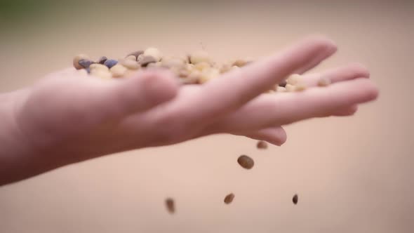 Pebbles falling through woman's fingers