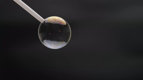 Beautiful soap bubbles are blown with a straw on a black background.Abstract soap bubbles with color