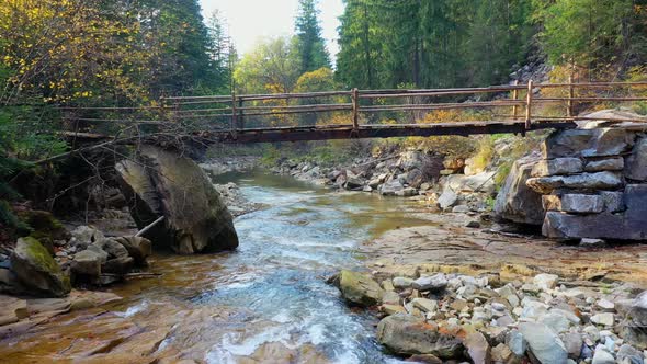 Mountain River Flowing Between Rocky Shores in Carpathians Mountains, Ukraine