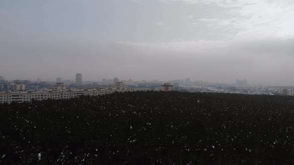 Beautiful Aerial View From Tops of Pine Forest to Large City Covered with Snow