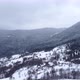 Drone view of beautiful winter scenery in the mountains with pine trees covered with snow. - VideoHive Item for Sale