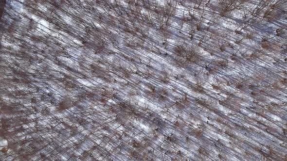 Aerial view of a winding road in the snowy hills of Greece.