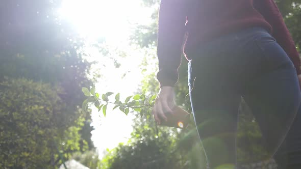 Gardening activity from potting plants, tending to young trees and general plant care. Slow motion