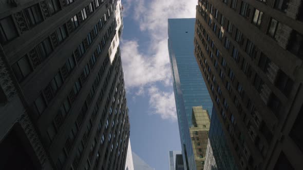 Financial District Manhattan New York City in the Daytime