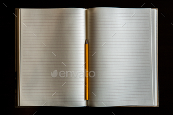 Top view of an open notebook with empty pages and a pencil