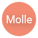 Molle - A Responsive Blog & Shop WordPress Theme - ThemeForest Item for Sale
