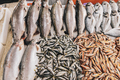 Fresh Sea Salmon, European Anchovy Fish and Mullus On Display On Ice On Market Store Shop. Seafood - PhotoDune Item for Sale