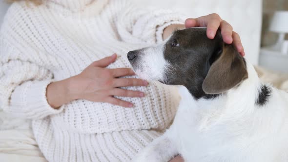 Pregnant Woman In Knitted Sweater Petting Her Dog