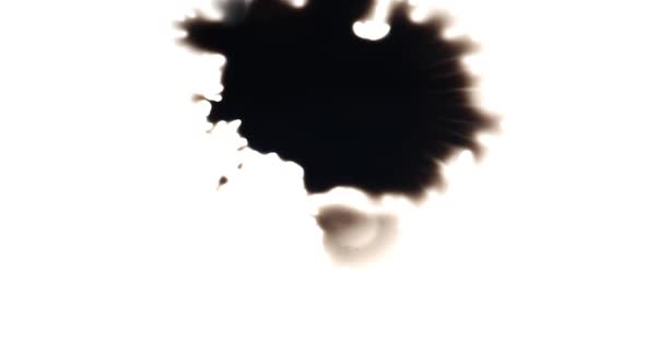 Ink blots spreading on white paper, different ink blot pattern