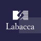 Labacca - Financial Advisor Elementor Template Kit - ThemeForest Item for Sale