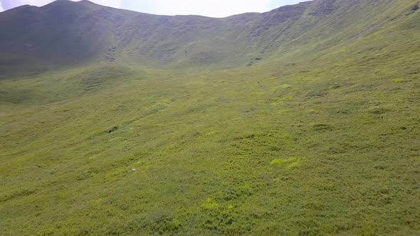 Grazing Flight Green Mountain