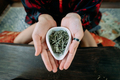 Young woman holding a small bowl of green herbal tea - PhotoDune Item for Sale