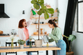 Two young women is taking care of houseplants watering and spraying with water. - PhotoDune Item for Sale