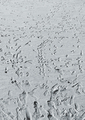 Traces in snow - PhotoDune Item for Sale
