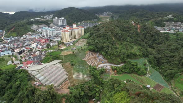 Cameron Highlands, Pahang Malaysia