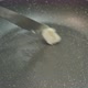 Fresh Eggs Break in Hot Frying Pan on Stove - VideoHive Item for Sale
