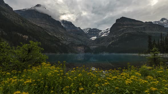 Sunrise at Lake O'Hara Time Lapse with Yellow Flowers 