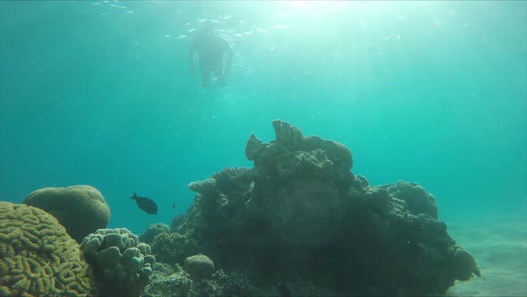 Diver Swims Over a Coral Reef in the Sun Light