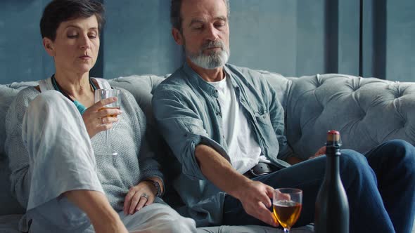 Happy Aged Couple Drinking Wine