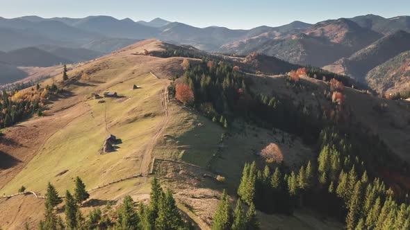 Slow Motion Aerial of Mountain Village at Autumn Pine Forest