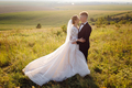 Young wedding couple enjoying romantic moments - PhotoDune Item for Sale