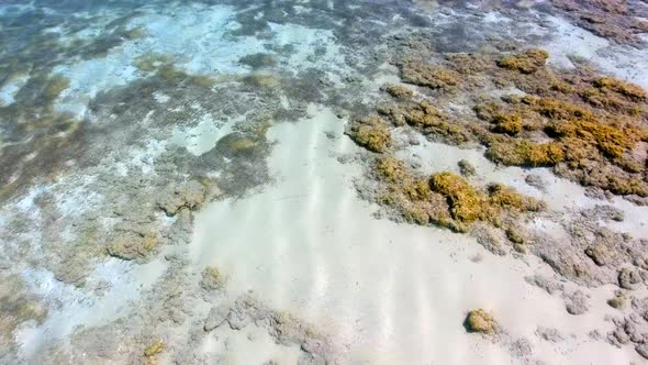 White Sandy Coral Reef in the Clear Turquoise Light Blue Sea of the Tropical Coastline