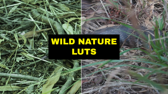 LUTs Wild Nature