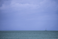 Sailboat seen sailing on ocean - PhotoDune Item for Sale