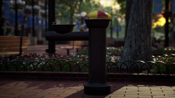 Quiet City Park with Trees and Benches