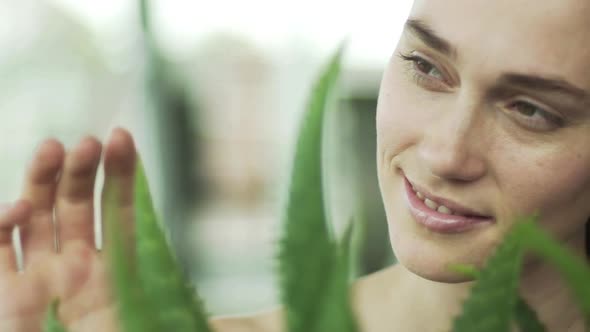 Young woman touching aloe vera plant