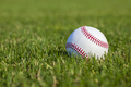 Baseball close up selective focus low angle in the outfield grass at a ballpark - PhotoDune Item for Sale