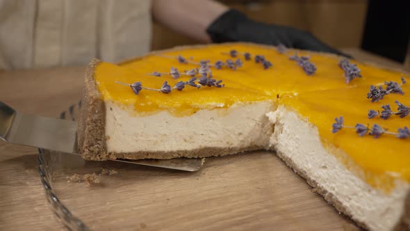 Baker Takes Piece of Cheesecake with Orange Jam with Spatula