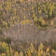 Aerial View of the Rock Among the Autumn Forest. - VideoHive Item for Sale