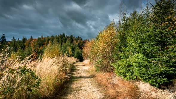 Autumn scenery in the mountains.