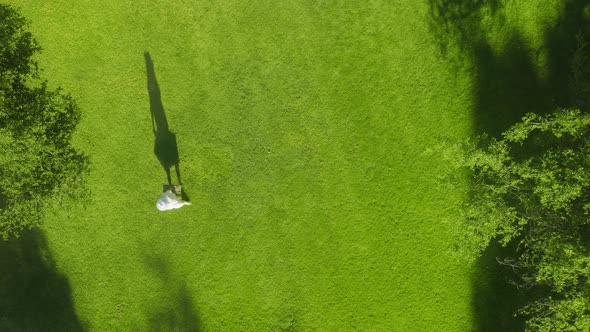 Overhead Shot of Woman in Love Walking Happily By Perfectly Green Lawn Nature