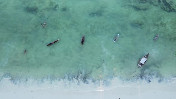 Boats in the Ocean Near the Coast of Zanzibar Tanzania