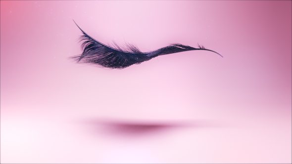 Eyelash Logo Ident