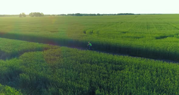 Aerial View on Young Boy, That Rides a Bicycle Thru a Wheat Grass Field on the Old Rural Road