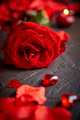 Red rose, petals, candles, dating accessories, boxed gifts, hearts, sequins - PhotoDune Item for Sale