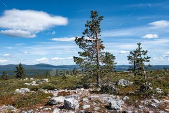 n in Lapland, Finland