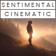 Sentimental Documentary