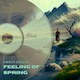 Feeling of Spring - AudioJungle Item for Sale