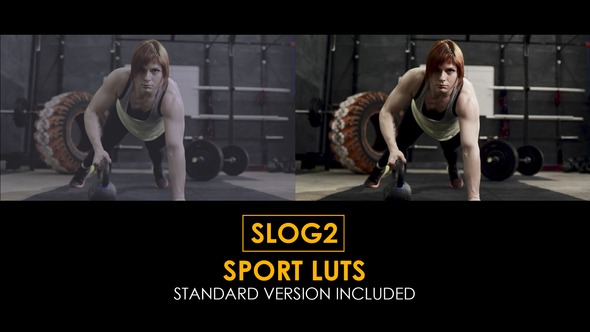 Slog2 Sport and Standard LUTs