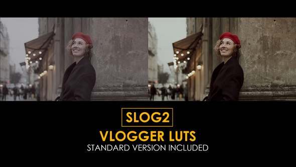 Slog2 Vlogger and Standard LUTs