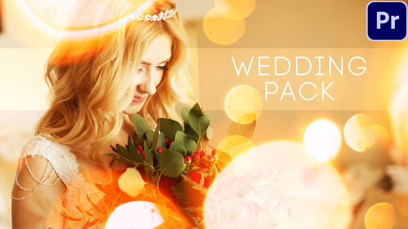 wedding titles vol 4 free download after effects project